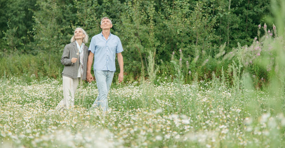 découvrez notre guide complet pour les retraités : conseils pratiques, activités enrichissantes et ressources pour profiter pleinement de cette nouvelle étape de vie. que vous cherchiez des idées de loisirs, des informations sur la gestion de vos finances ou des astuces pour rester actif, nous avons tout ce qu'il vous faut pour bien vivre votre retraite.